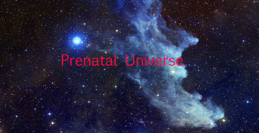 Prenatal Universe : Next Stage