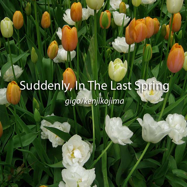 Suddenly, In The last Spring