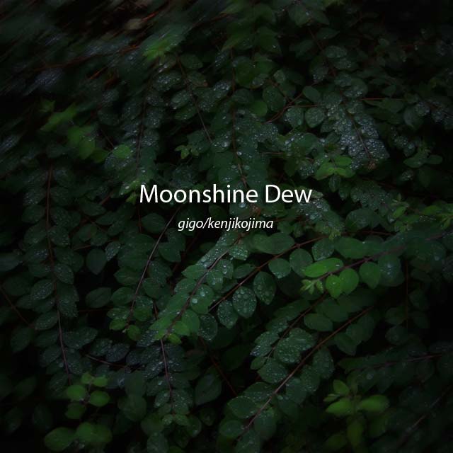 Moonshine Dew
