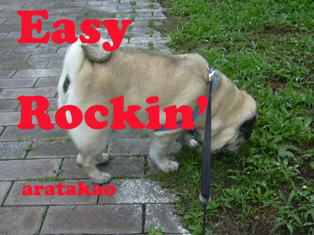 Easy Rockin'