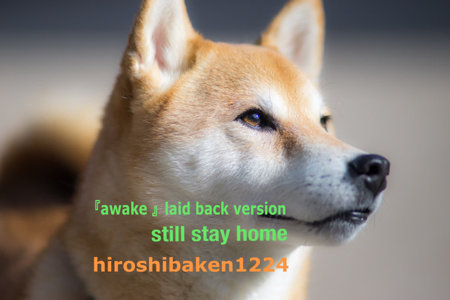 『awake』laid back version〜still stay home