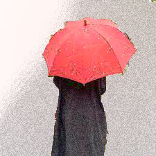 小さい傘