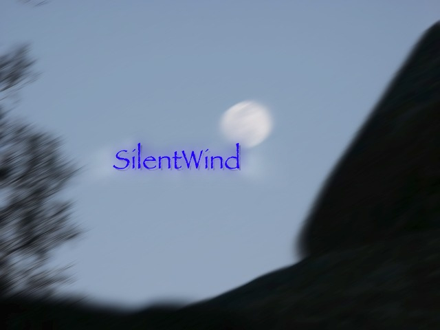 Silent Wind