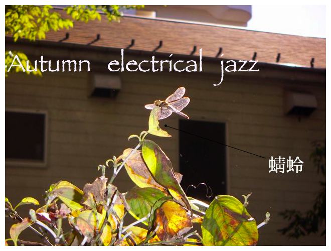Autumn electrical jazz