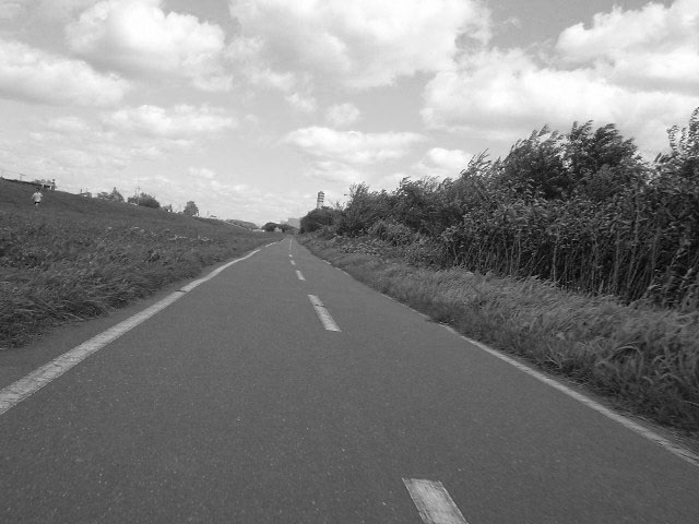 ON THIS ROAD