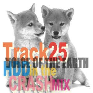 VOICE OF THE EARTH(HDD in the CRASHMIX)