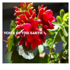 VOICE OF THE EARTH