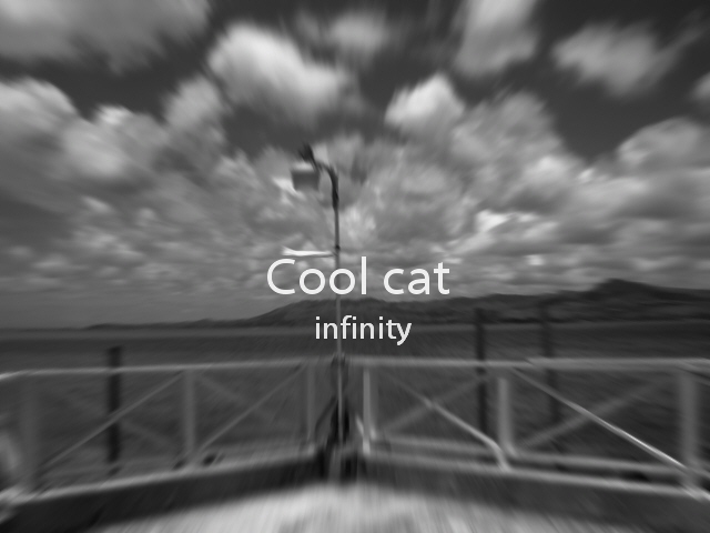 Cool cat