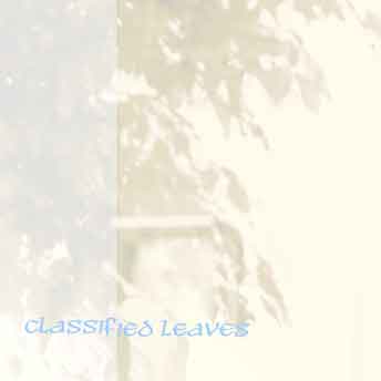 (A Bug upon) Classified Leaves