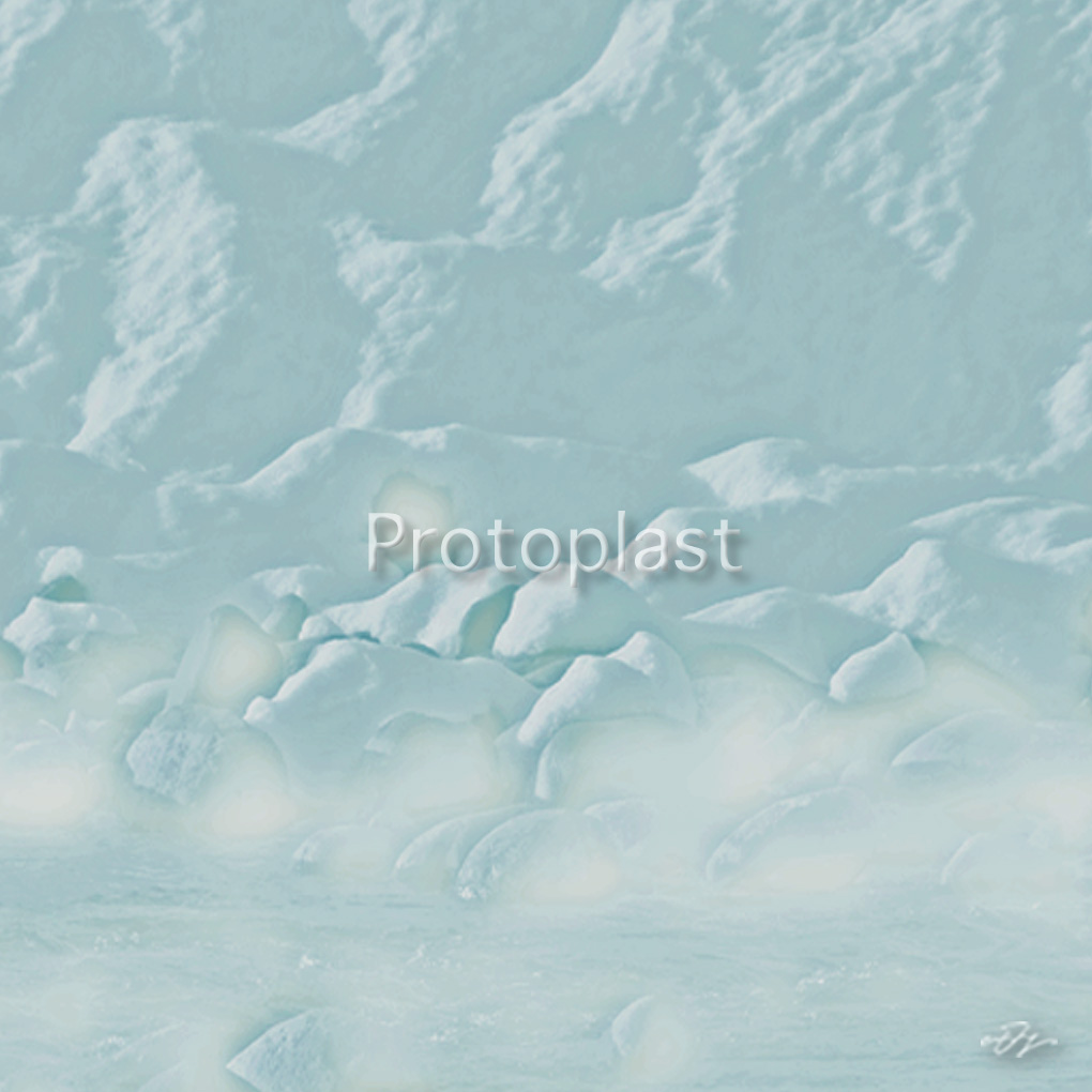 Protoplast