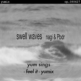 swell waves -feel it- yumix op.080627