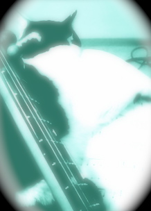 まったり、日本酒でも