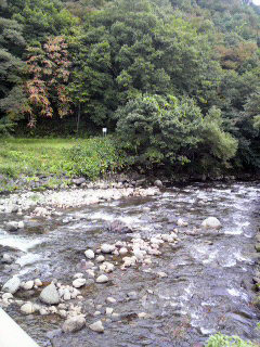 ����������Ȥ��