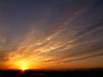 �������ʡ�