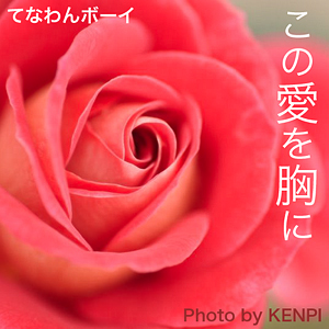 この愛を胸に