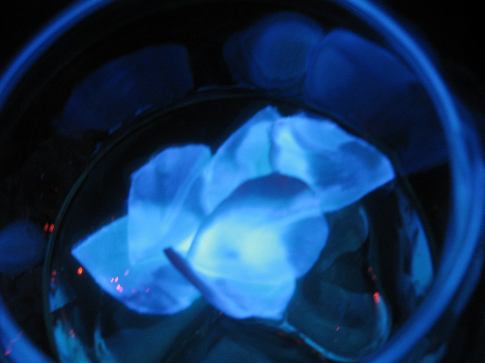 ��ե����츶�ɤǥ��󥫤���