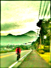 ハッピーホッピーライフ