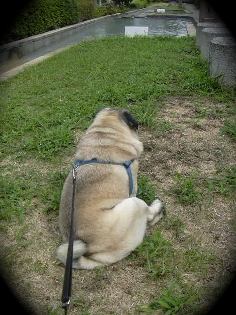 ���뤿�뤵����