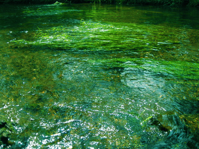 虹色のみずうみへ