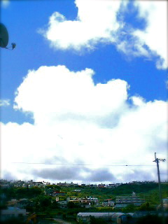 �ܥ֥ǥ����ˤĤ��ơ�