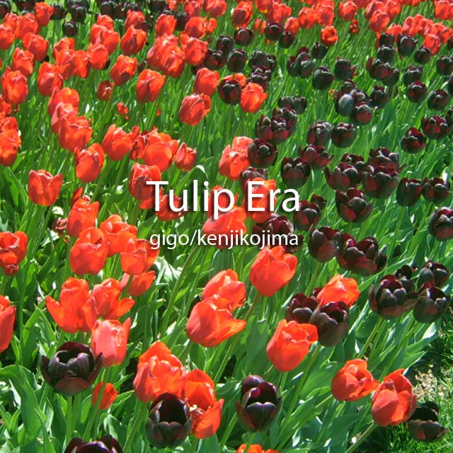 Tulip Era