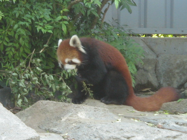 ����ʤ������������