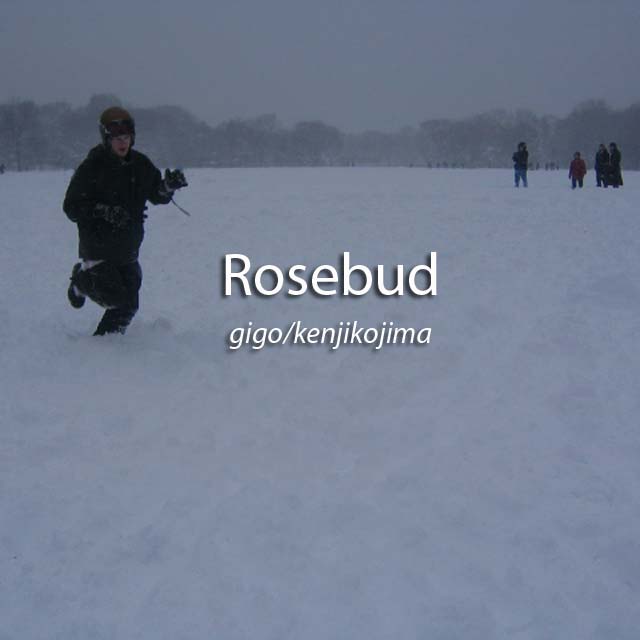 Rosebud