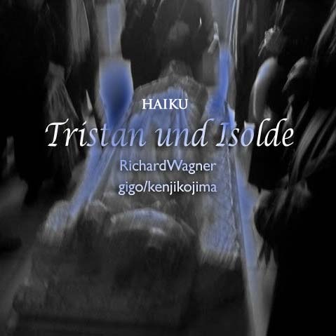 HAIKU���ȥꥹ����ȥ������