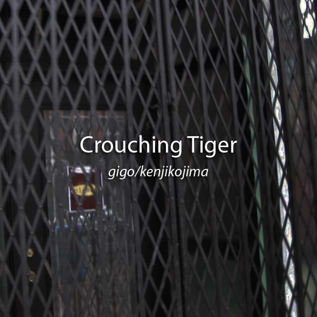 CrouchingTiger