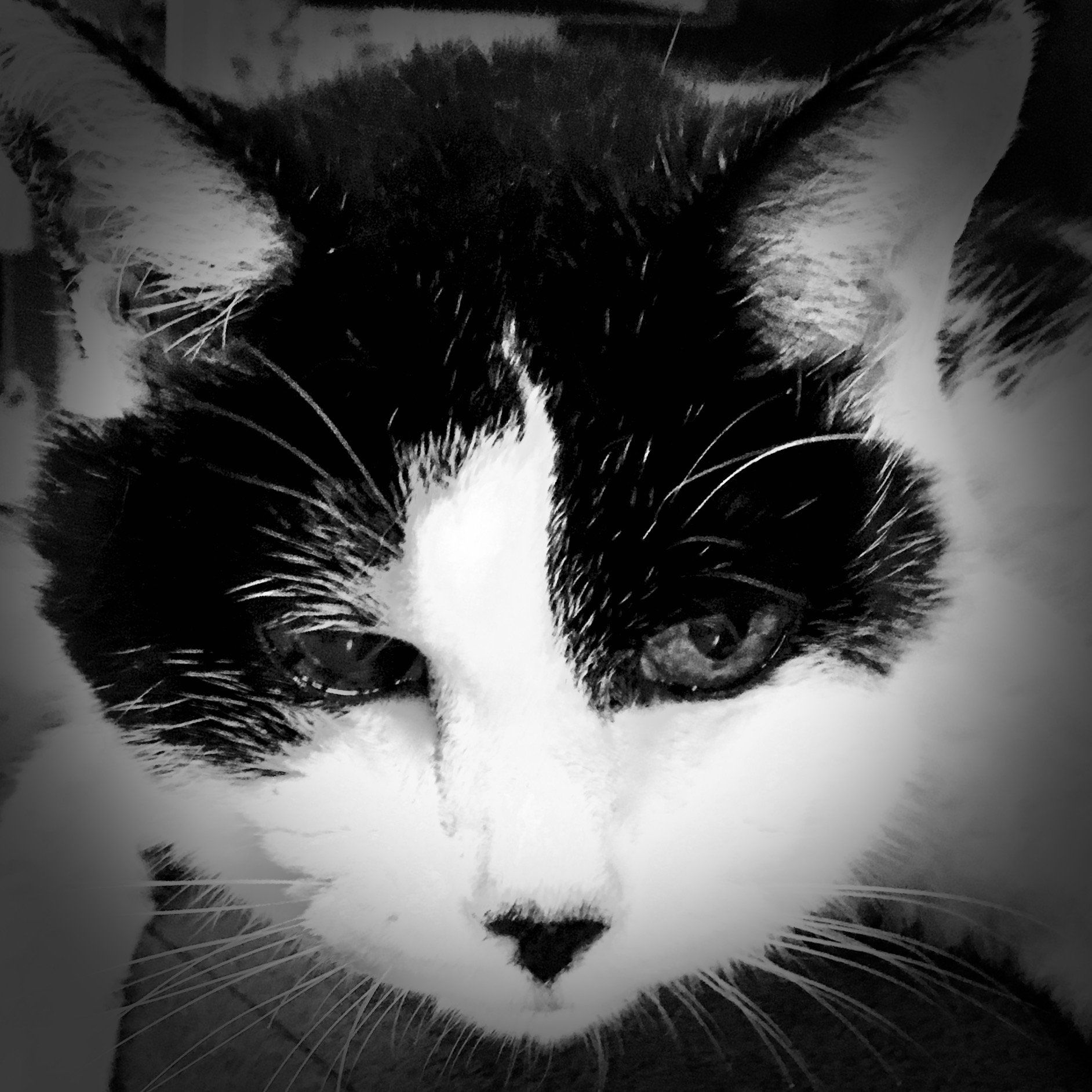 天国のサマ〜タイム