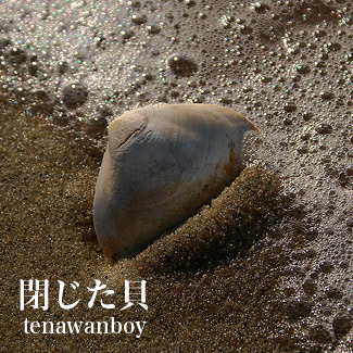 �����Ĥ������ʥԥ��Ρ�������