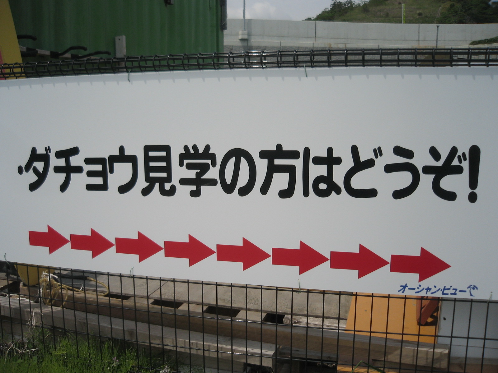 �������������Bad Moon Rising��