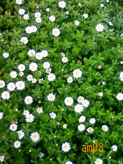 ���Τ���