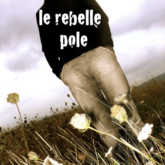 le rebelle