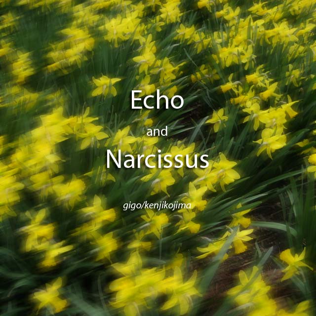 Echo and Narcissus