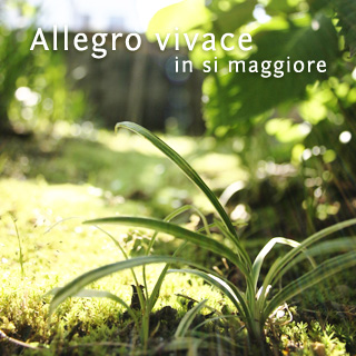 Allegro vivace, in si maggiore