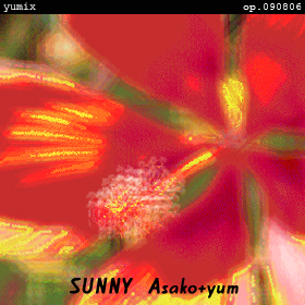 SUNNY [shady summer yumix] op.090806