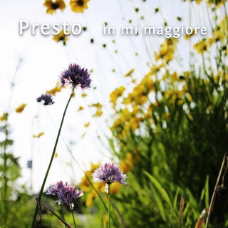 Presto, in mi maggiore