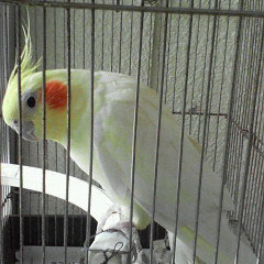 Missions-5�ͤλȼԤȤ�������-