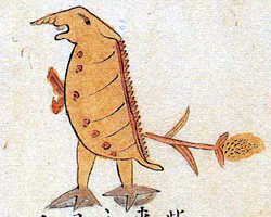 ����٥��