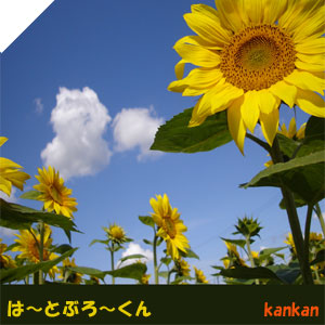 �ϡ��Ȥ֤�������