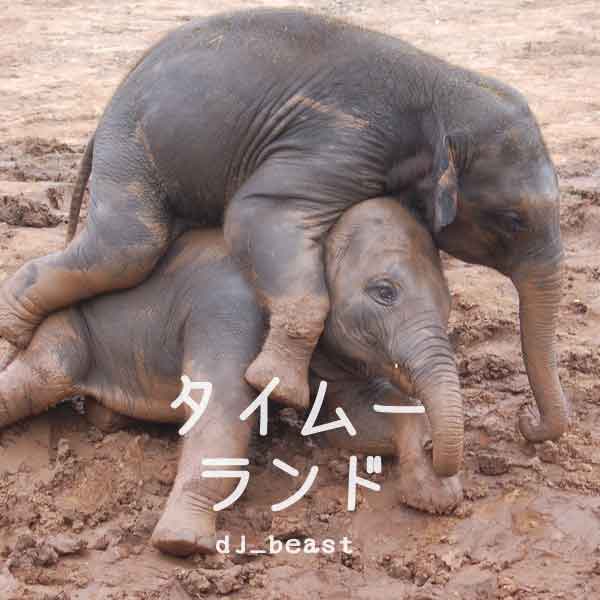 �����ࡼ����