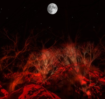 kiyo��No.1-003��