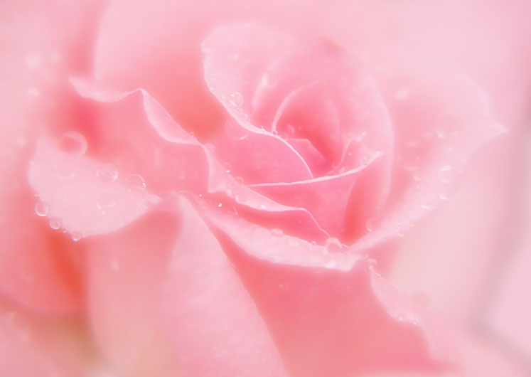 �������Τ����碌