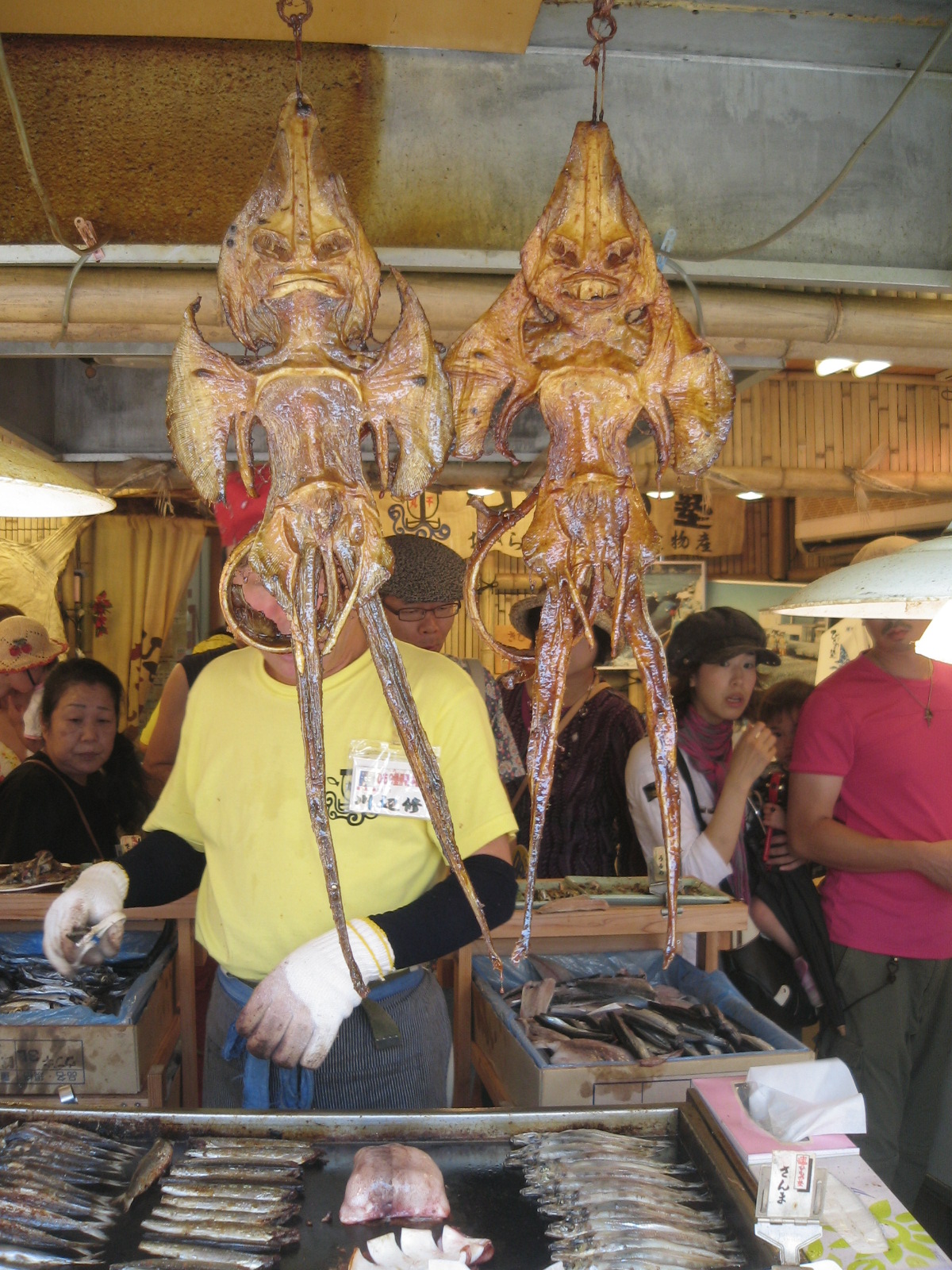 ñ����Ź��ή����ư�ѡ��ȣ���