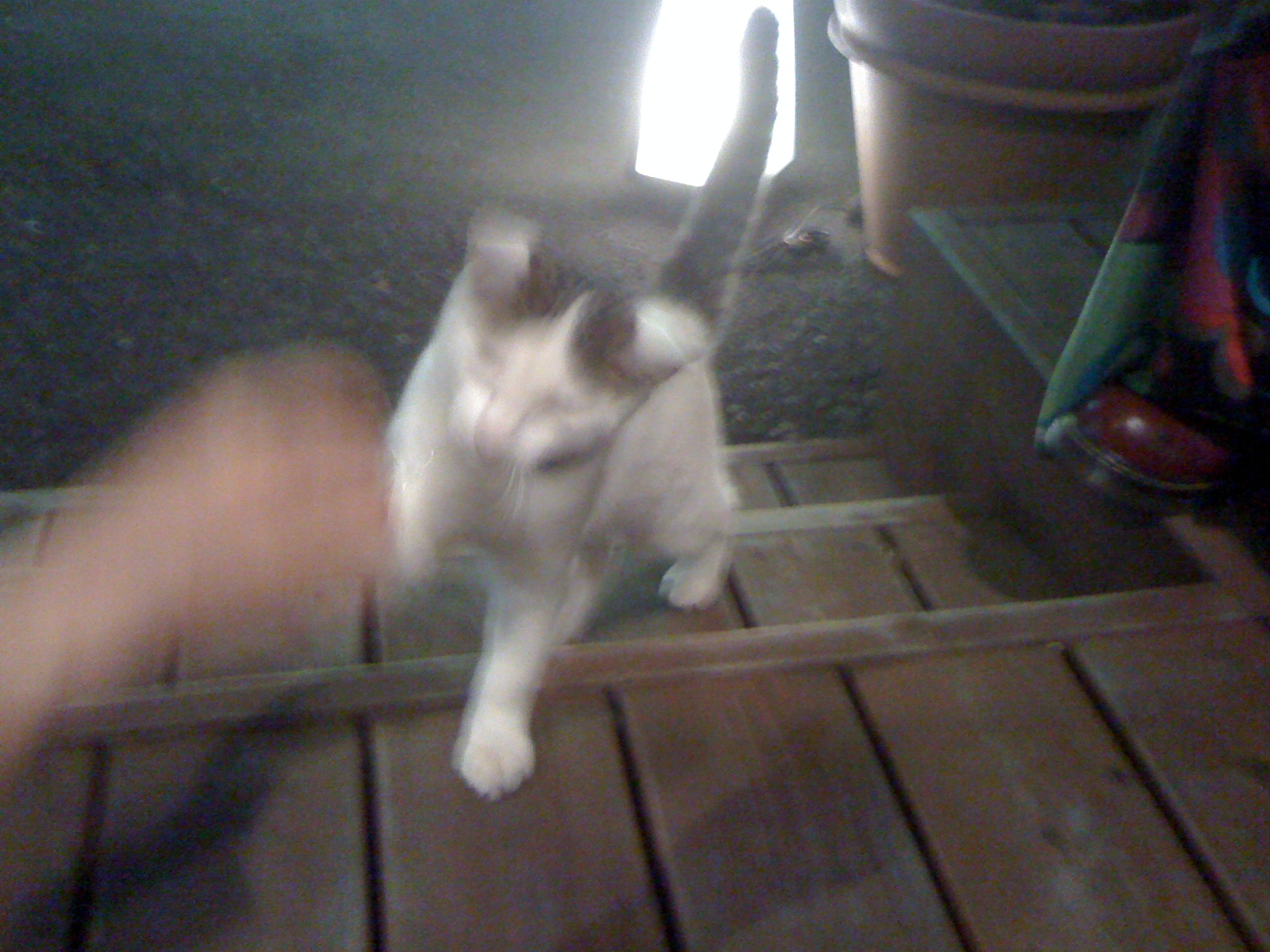 �����ϥ�����ӡʥ饤�ֲ�����