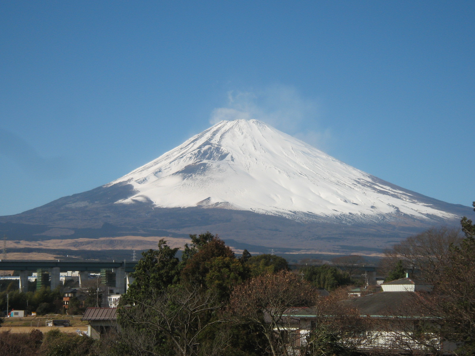 �ѥ󥿥���������ʤ��饨�����르�򿩤٤ʤ��ǡ�(���)