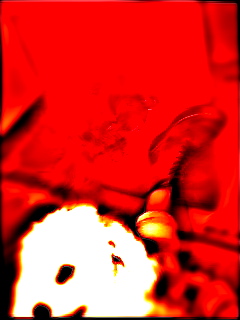 �����Сʲ����ξ��