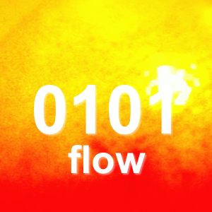 0101 flow