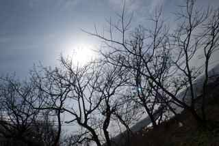 ���Ǻ�ޤ�Ǿ΢������